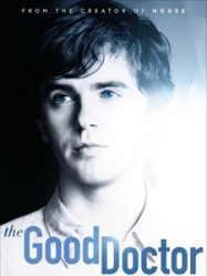 Good Doctor saison 1