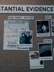 Homicide: New York saison 1