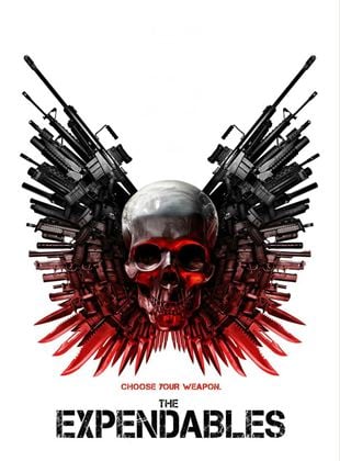 The Expendables saison 1