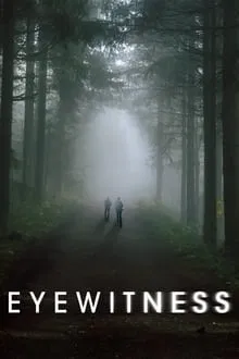 Eyewitness saison 1