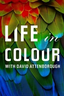 La Vie en couleurs avec David Attenborough saison 1