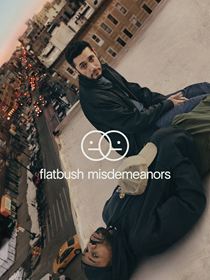 Flatbush Misdemeanors saison 2