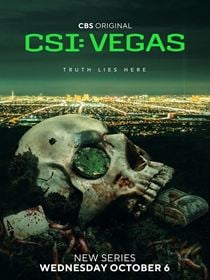 CSI: Vegas saison 3